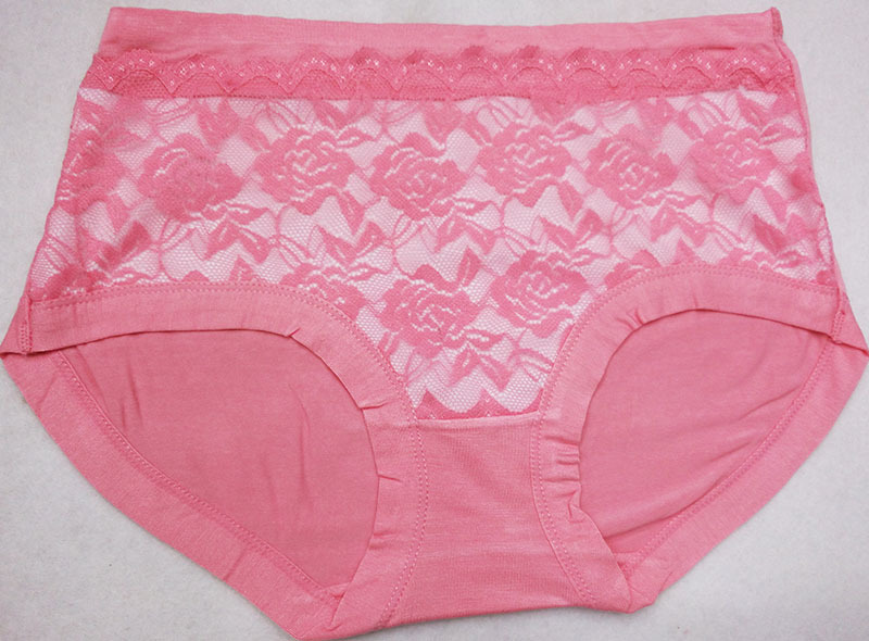 2015爆款 女士内裤莫代尔竹纤维 中间网纱绣花简约女内裤 批发