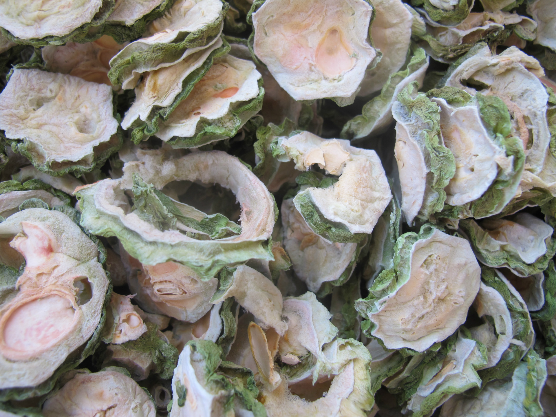 苦瓜干 优选苦瓜干 桂林苦瓜 山东苦瓜 量大优惠 厂家直销 散装