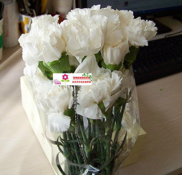 感恩母亲节鲜花批发 昆明新鲜鲜花订购 批花网 康乃馨鲜花(白