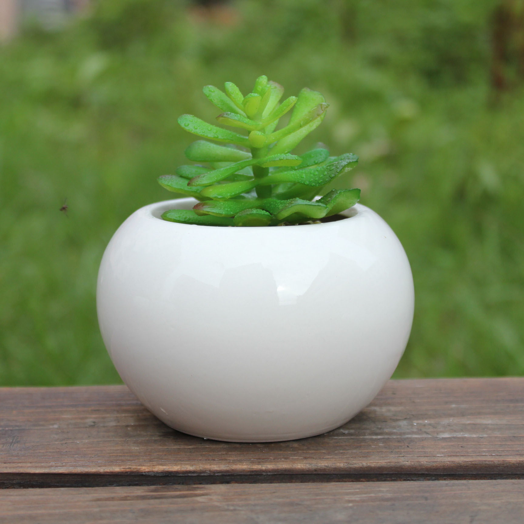 多肉花盆简约白色清雅12456大号陶瓷花盆迷你花盆厂家直销批发