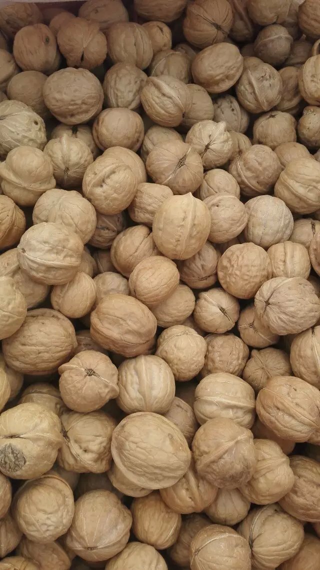 2017年新货500g薄皮核桃新疆33特产大核桃休闲零食一件代发包邮