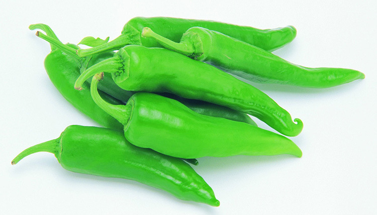 东方正大 正佳一号f1 羊角椒 辣椒种子 基地种植户种子原装1000粒