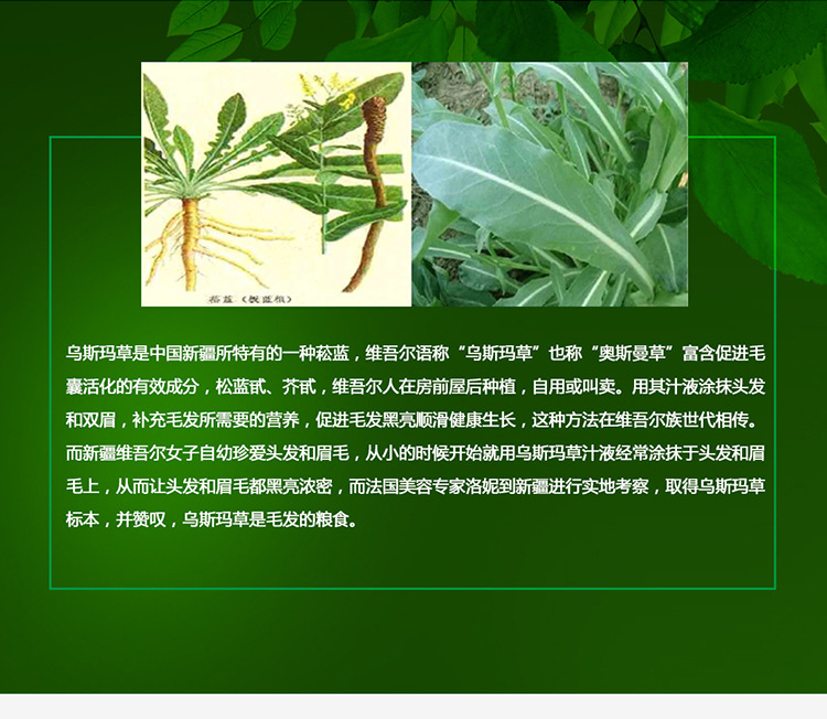 园丰娜正品罕乌斯玛草油植物养发油厂家直销