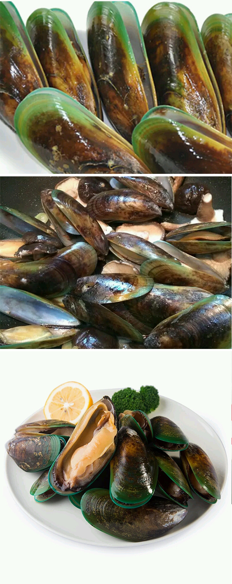 青口贝 冷冻水产品 优质高档冷冻青口贝 即食刺身自助餐用贝类