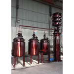 厂家热卖 紫铜皮渣果泥蒸馏机组  批发（生产） 质量保证