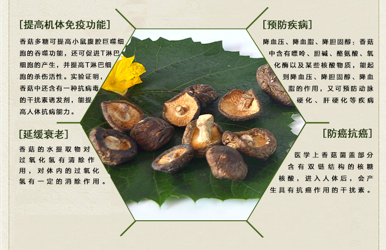 林龙香菇 东北特产 黑龙江特产 无根无杂质100克