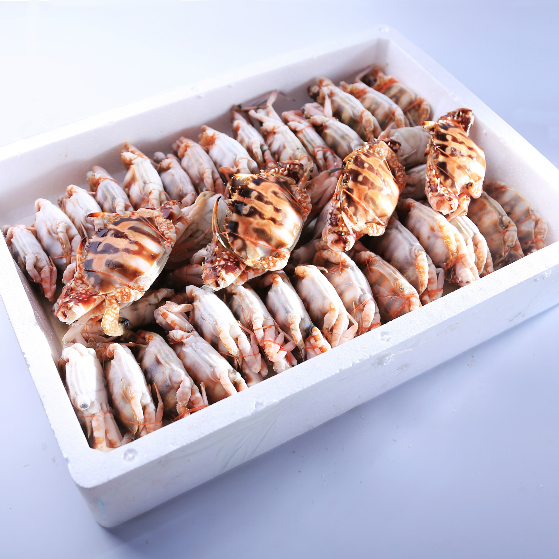 冷冻红蟹花蟹花纹石蟹专业打捞生产速冻新鲜速递量多价优