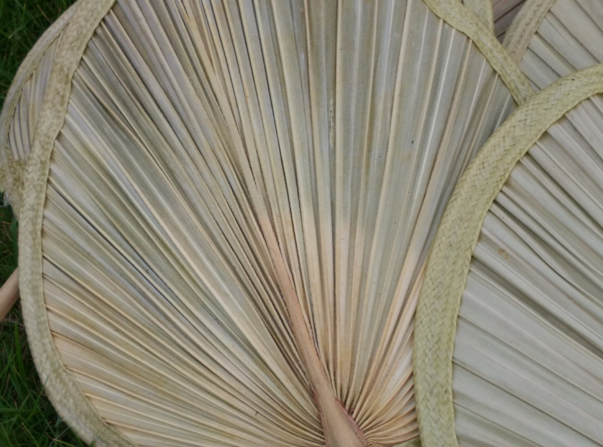 厂家直批芭蕉蒲扇大号环保扇原生态手工芭蕉叶葵扇纳凉扇子