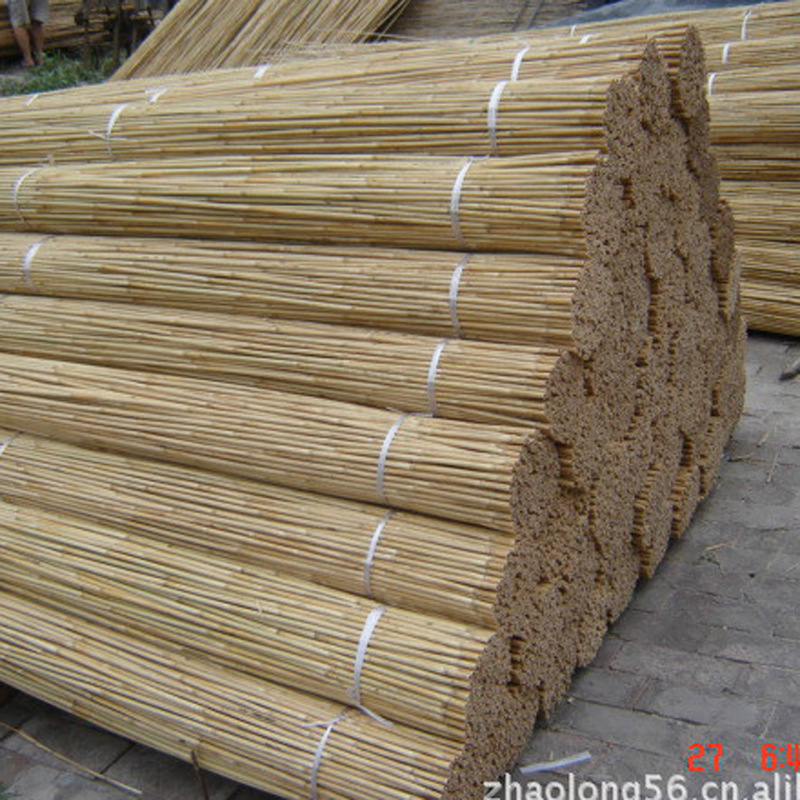 厂家直销新款芦苇杆 编织苇帘 专用芦苇杆 - 中国编织批发交易网