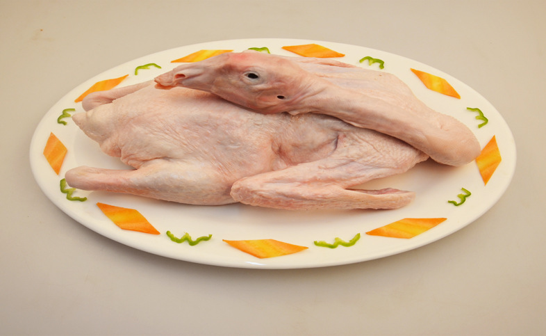 立华食品鹅翅火锅原料鹅副鹅杂厂家直销冰鲜冷冻量大优惠