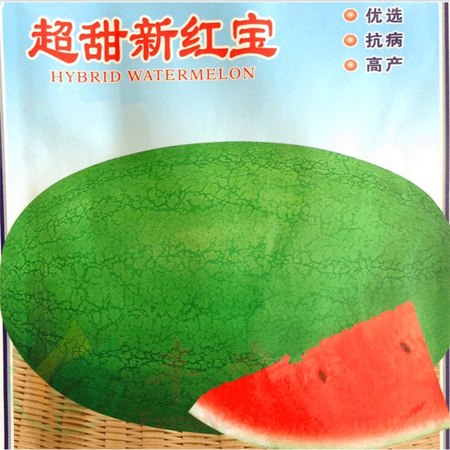大型西瓜种子