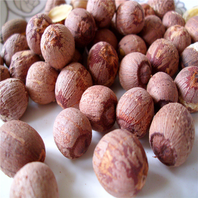 洞庭湖红莲子带芯湘莲500g红皮寸三莲湖南特产无硫干货红皮莲子