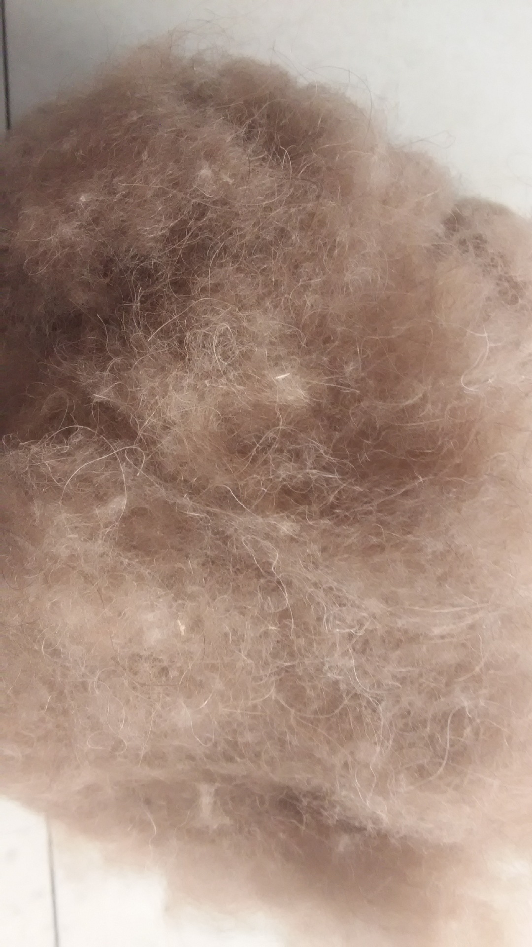 厂家供应分梳粗支骆驼毛,适用于被子服装填