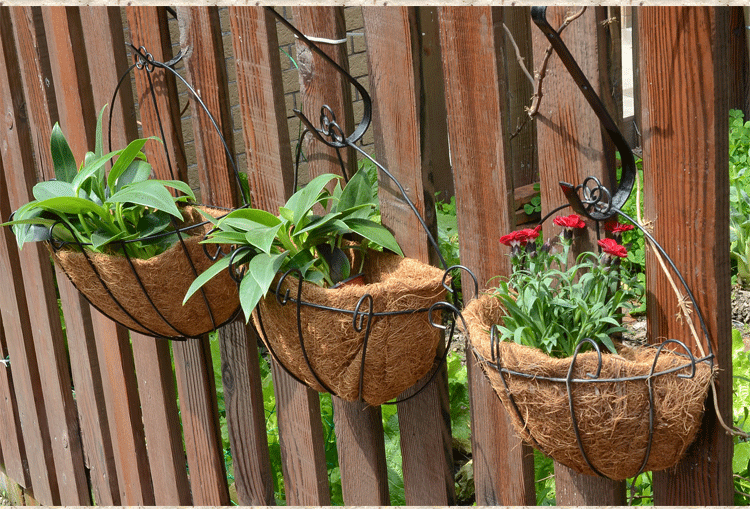 环保悬挂椰棕花盆 壁挂式铁艺吊盆半圆形挂盆
