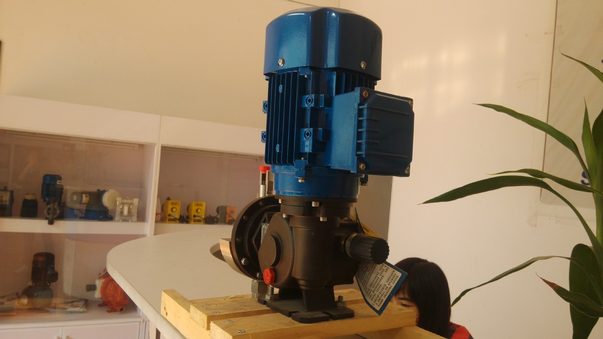 seko计量泵加药计量泵计量泵赛高计量泵ms1c138