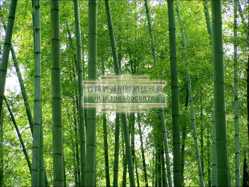 竹筒酒2016年底供货价格