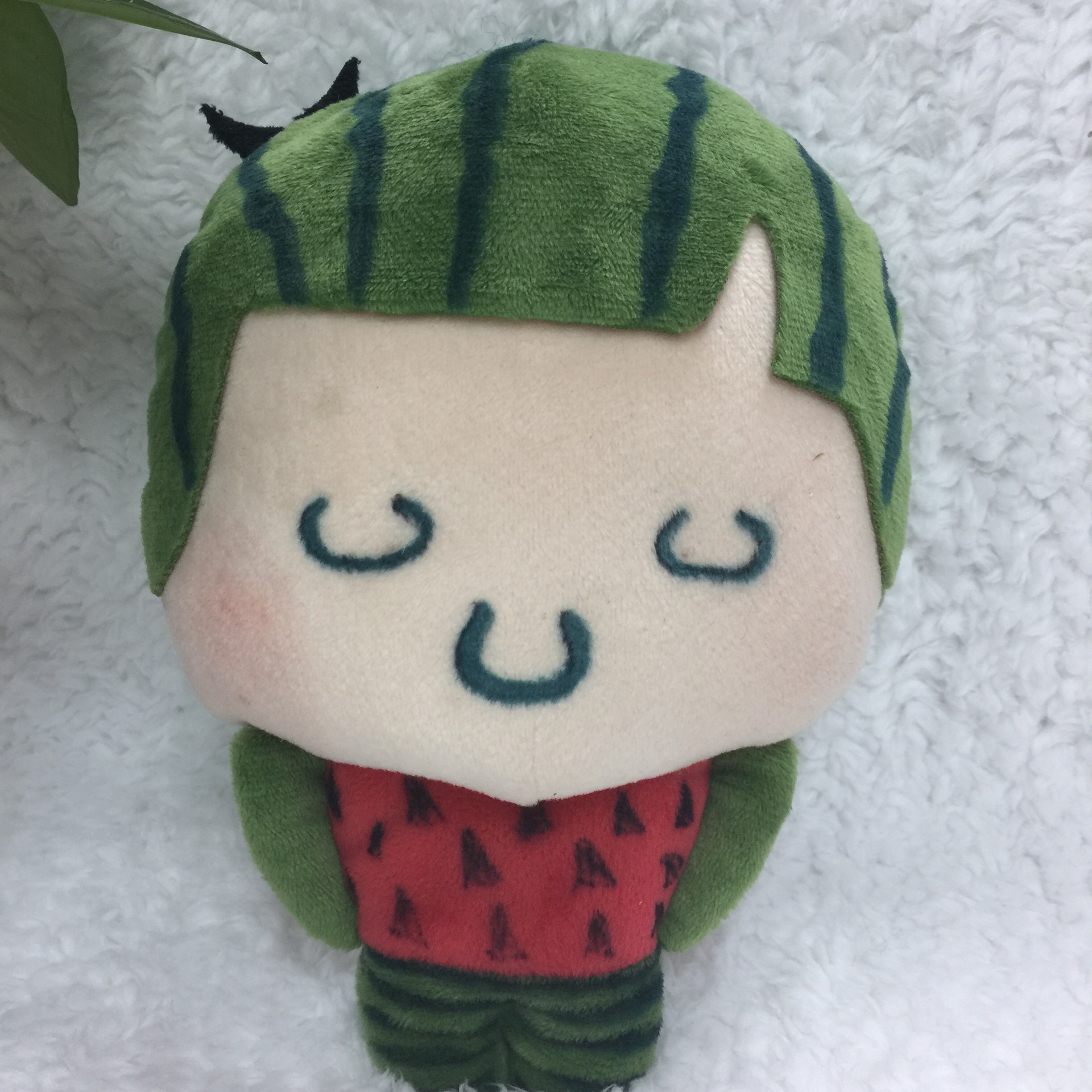 厂家批发新款毛绒西瓜公仔卡通毛绒玩具公仔娃娃定制企业吉祥物