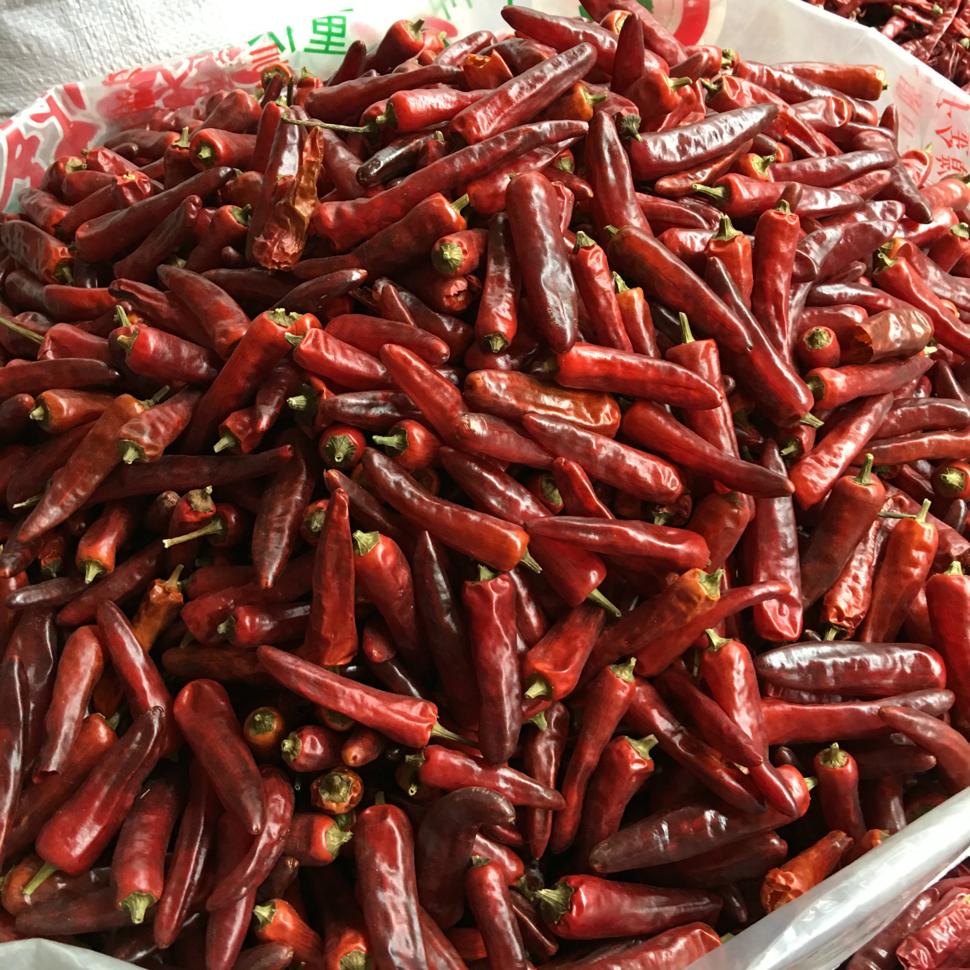 重庆干辣椒_重庆石柱红干辣椒 特香特辣海椒 中餐火锅用 - 阿里巴巴