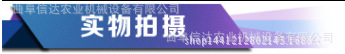 实物拍照