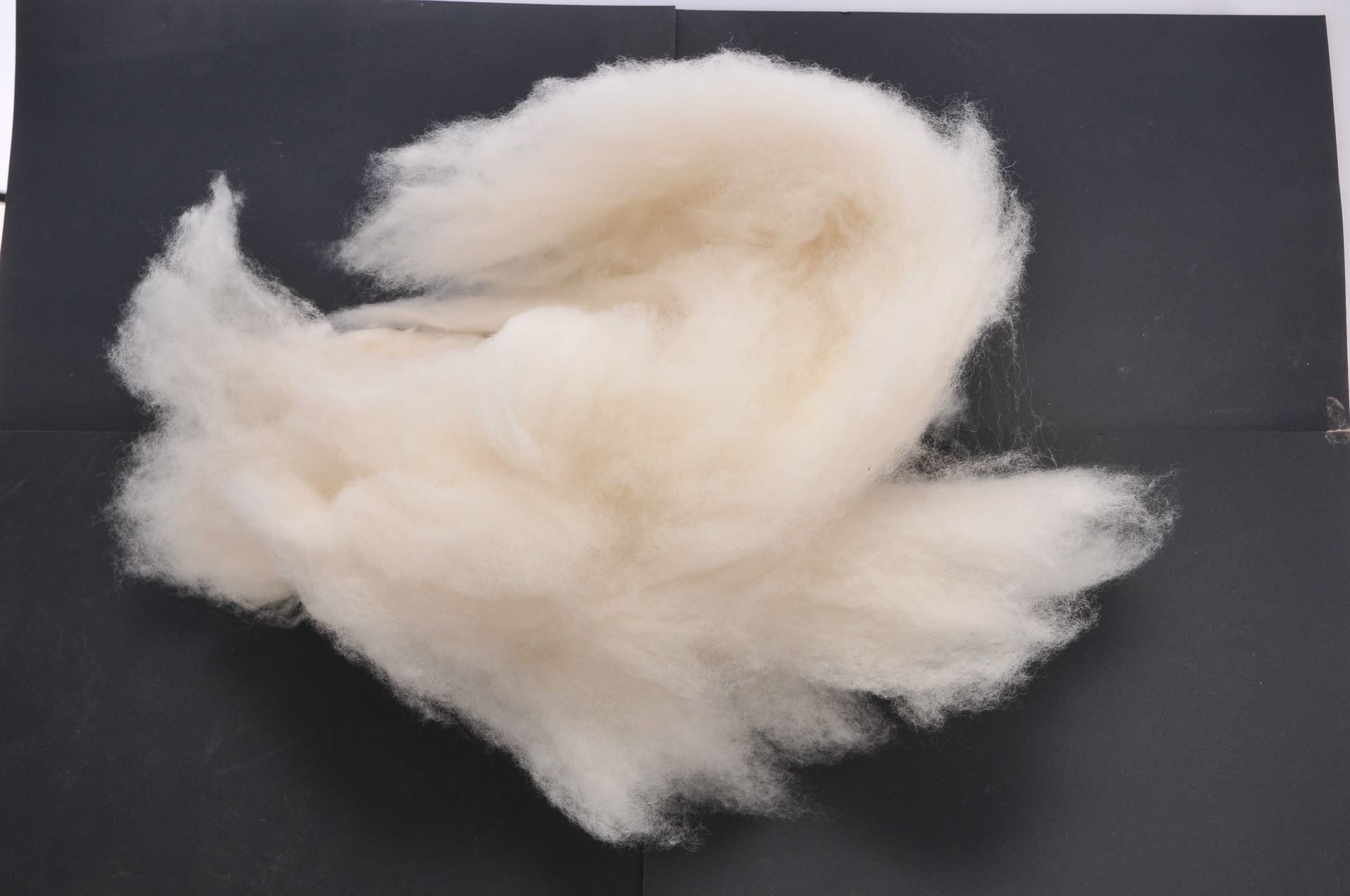 厂家供应保暖填充羊绒 *羊毛原料 水洗羊毛精梳羊毛批发