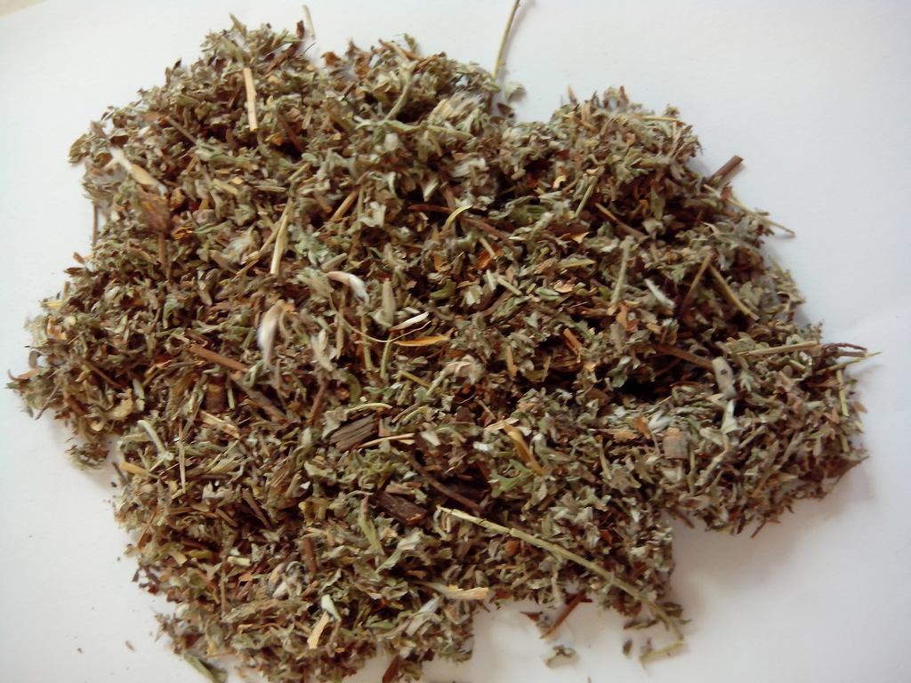 产品名称:森冉生物 叶下白/鸡腿苗/翻白草提取物 凉血止血 现货直供