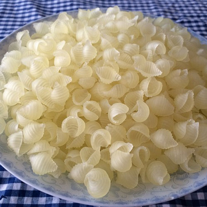 厂家直销 蚬壳型通心粉 意面意粉 餐厅专用粉 空心粉