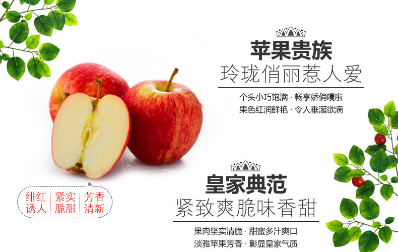 红富士苹果脆甜新鲜孕妇水果有机带皮吃
