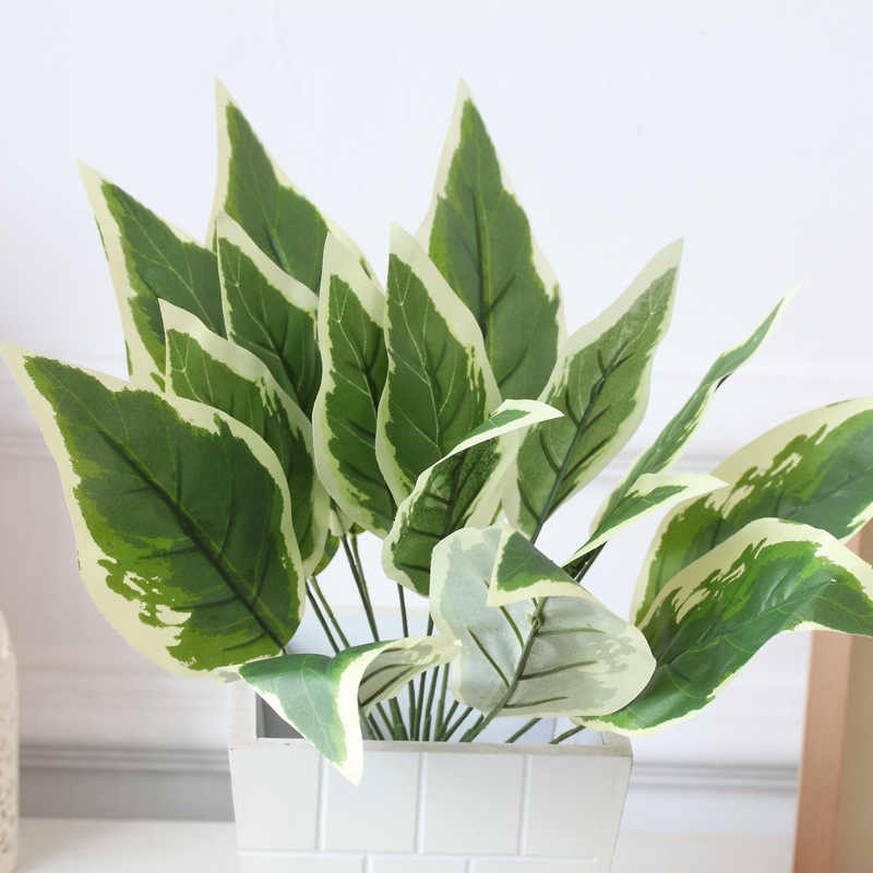 16叉手感白边绿叶/万年青 仿真绿色植物 墙体园林装饰叶子假植物