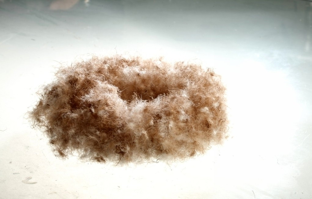 水洗羽绒 50普白鸭绒 新国标2011 绒朵大 价格低 厂家直销 推荐