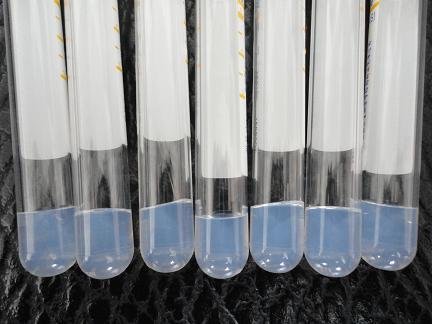 天爱供应分离胶 促凝剂 serum separating gel  coagulation tube