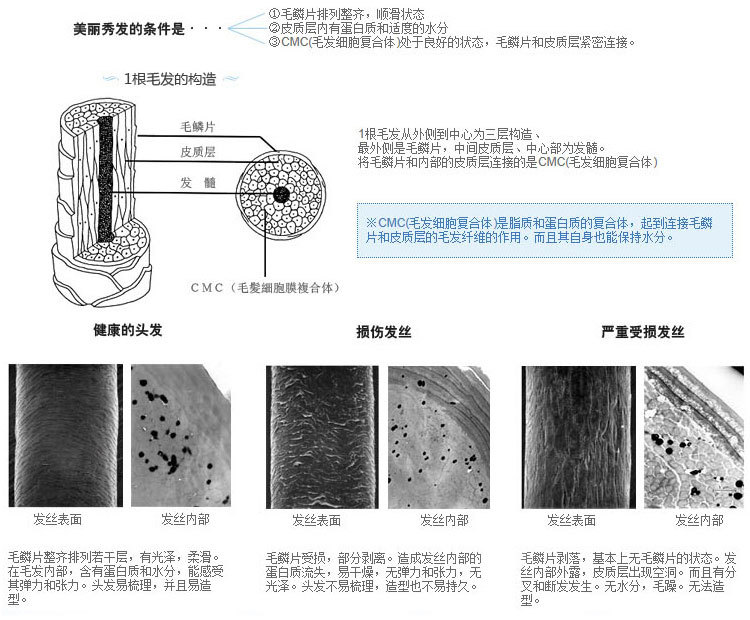 CK01017710000F大_4