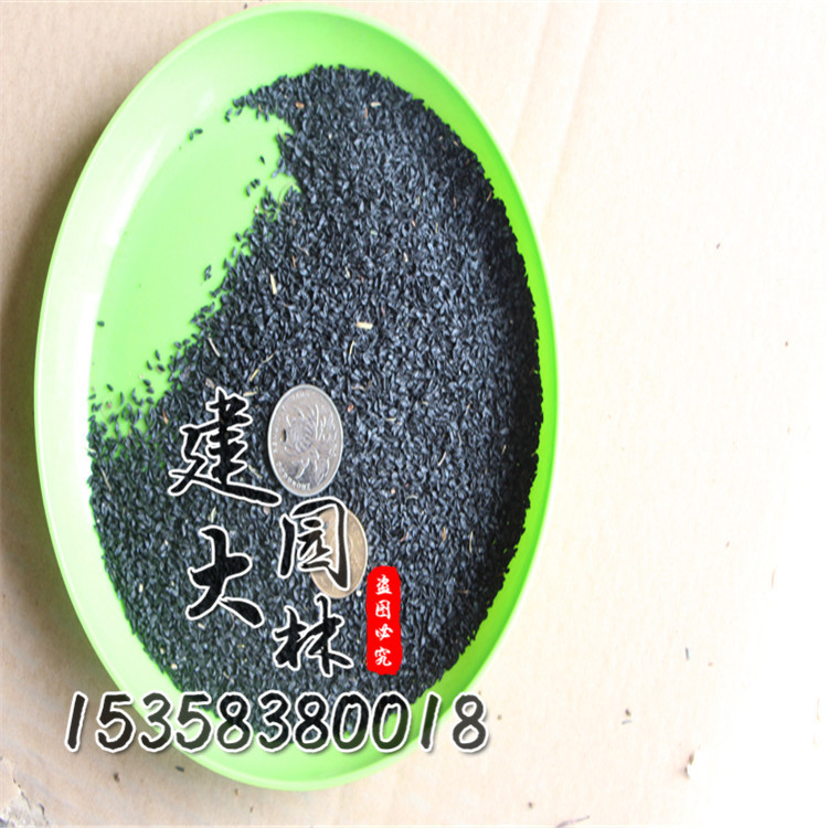 出售草花种子 花葱种子 多年生草花 绿化工程种子 价格.