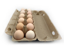 12枚装可降解环保鸡蛋包装盒防震土鸡蛋收纳托盘纸浆鸡蛋盒批发