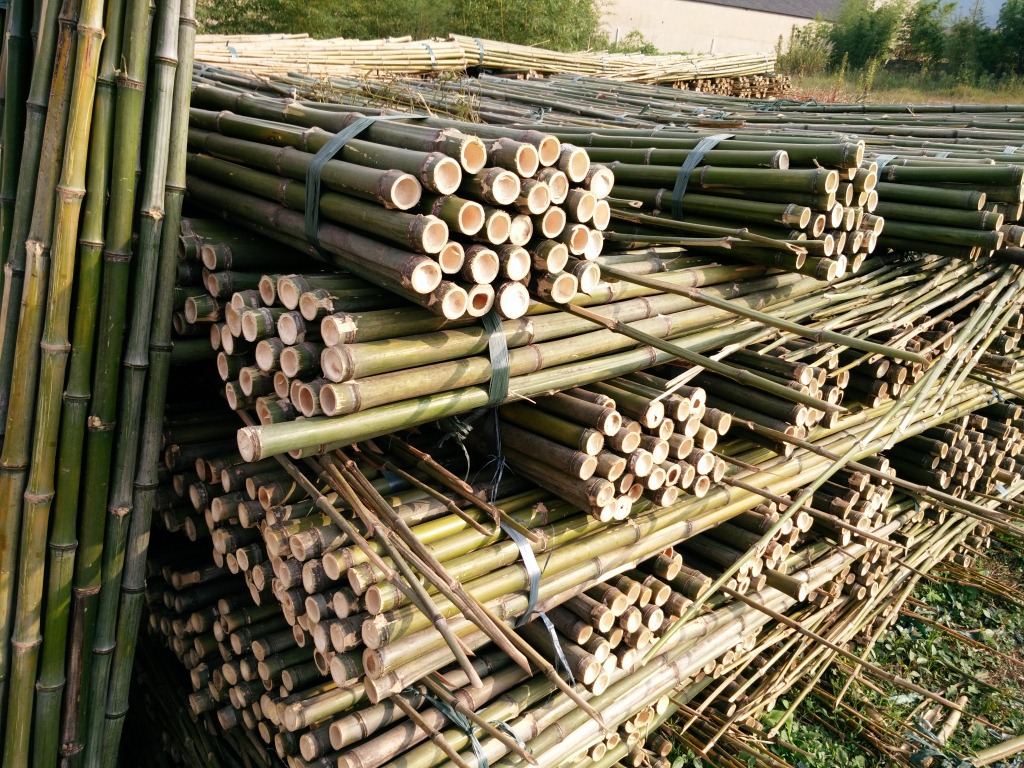现货批发天然竹竿竹条原竹青皮制品多用高档青皮竹竿大棚竹竿