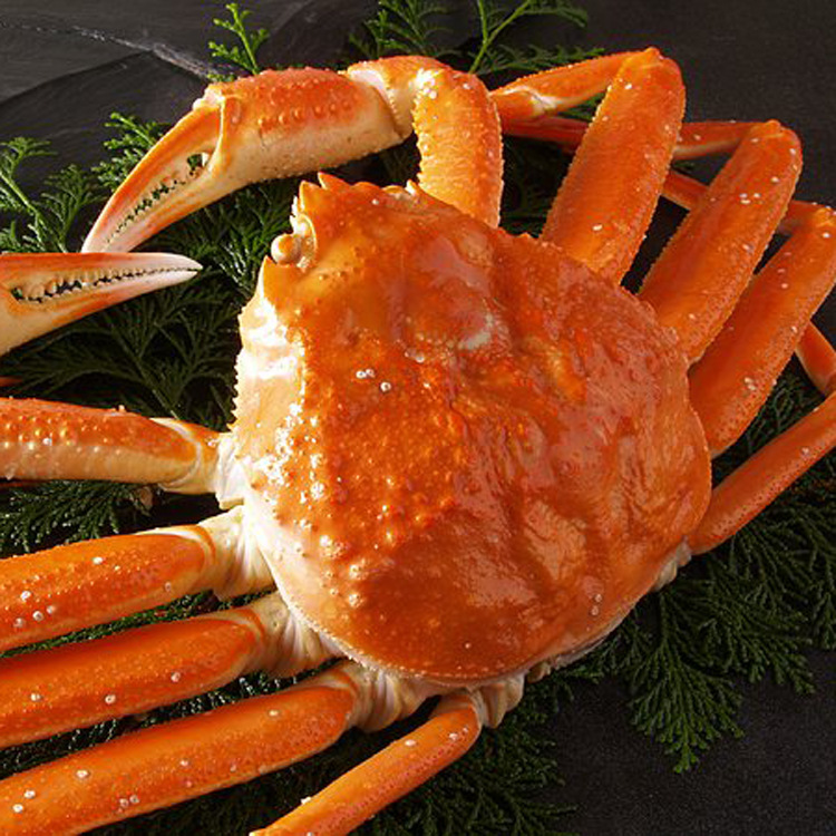 【皇冠信誉】一手货源 烧烤食材 加拿大 板蟹 鳕蟹 雪蟹