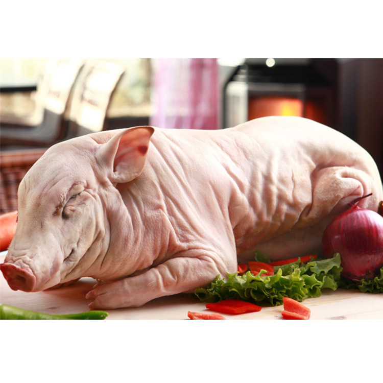 冷冻乳猪