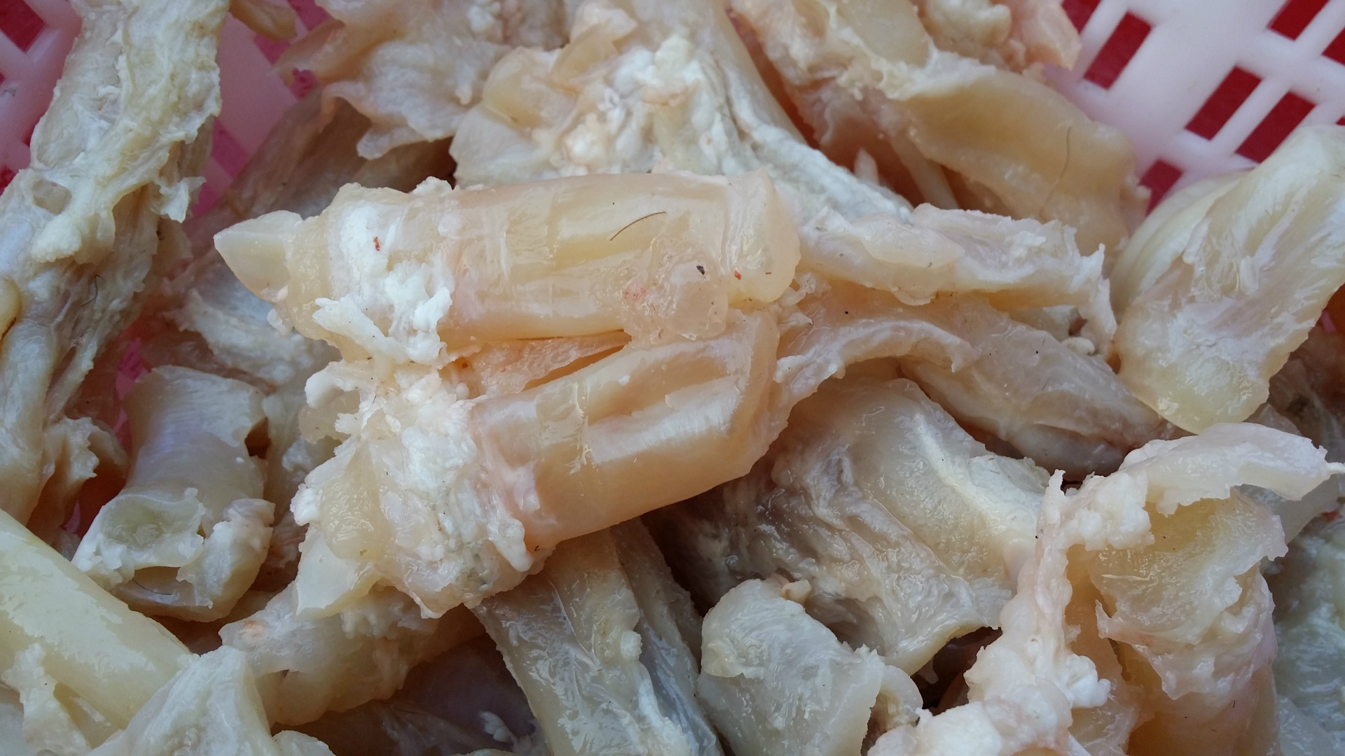 特价促销批发 特色牛鲜蹄筋 火锅必备牛蹄筋 精品菜肴牛蹄筋