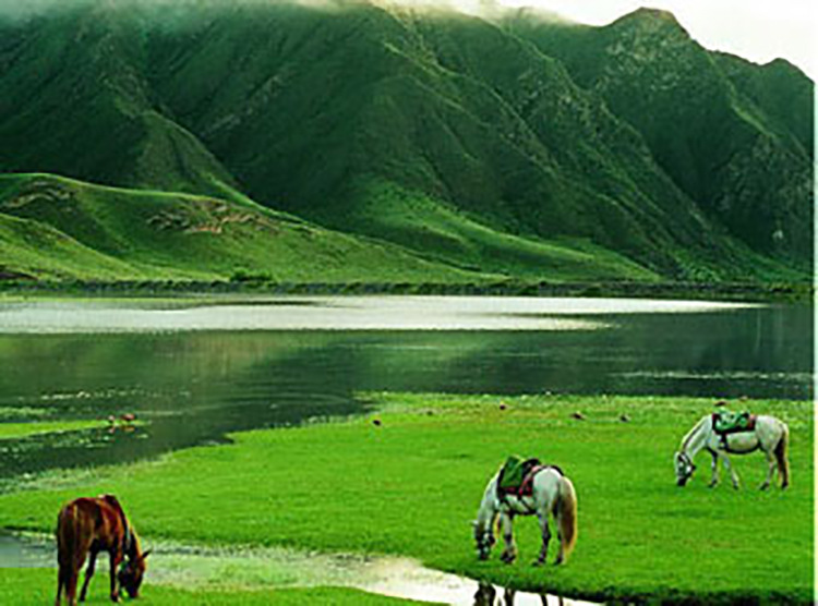 草原白酒_批发白酒 内蒙古太仆寺旗62度草原 