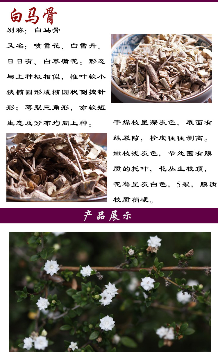 批发草药材白马骨六月雪 健脾利湿路边荆满天星 本棵保药含量