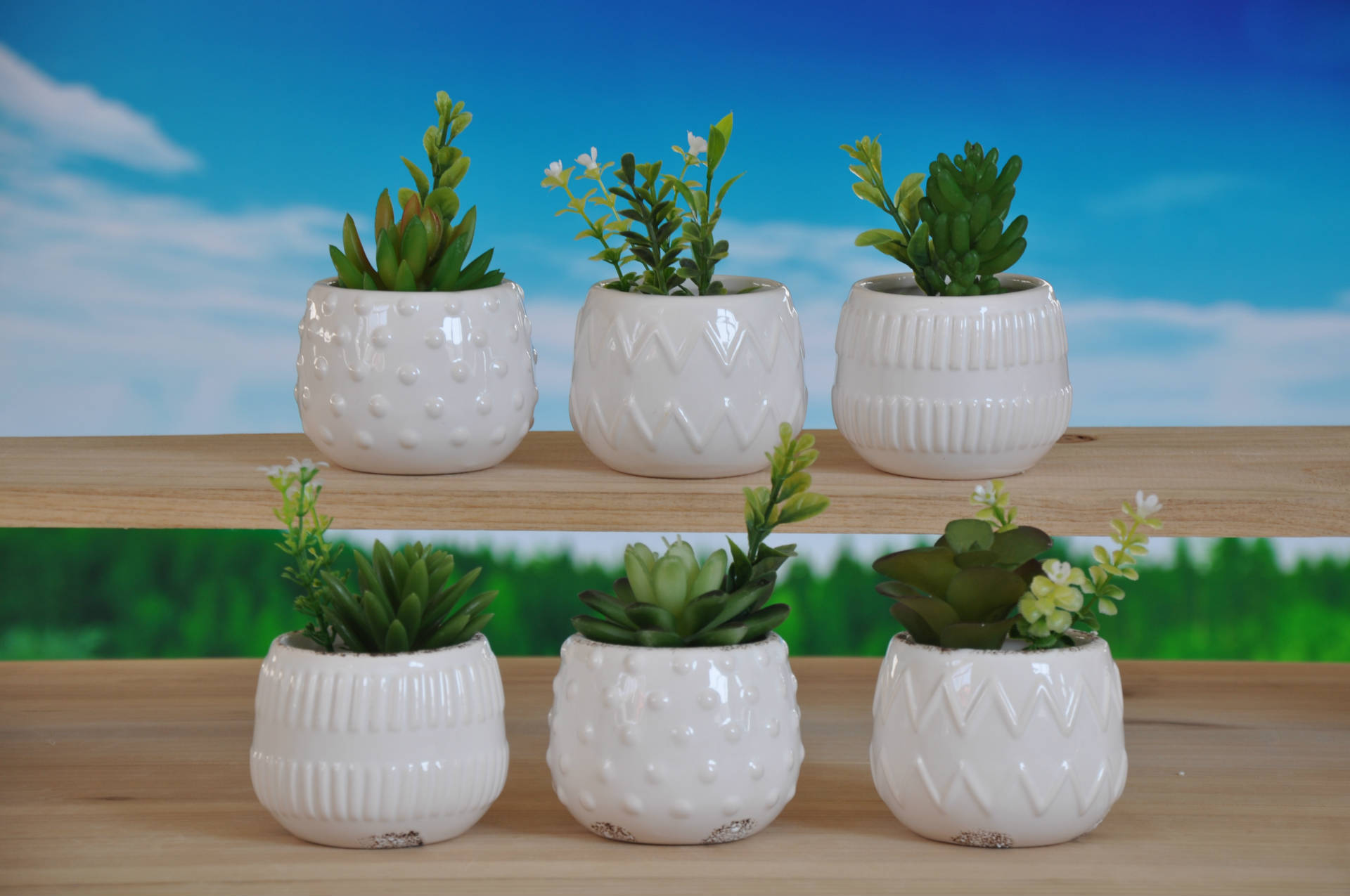 创意陶瓷小花盆 立体多肉花盆 园艺绿化盆栽花盆 花盆批发gh1053