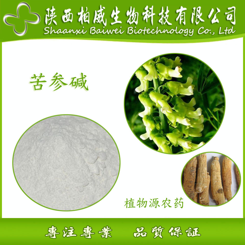 苦参提取物质量标准研究