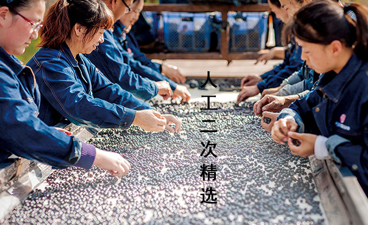粒大无沙