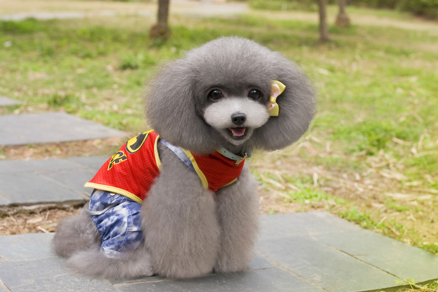 厂家直销 2014新款宠物服装 狗狗衣服 蝙蝠侠网眼透气背心-3色