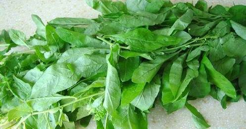 作用和功效:无果枸杞芽茶含有18种氨基酸,钙铁锌等微量元素,长期饮用