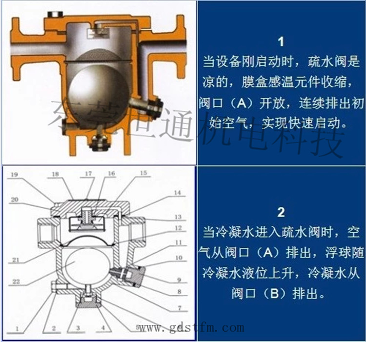 蒸汽疏水器结构原理图片