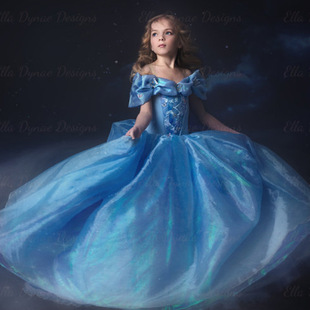 2015灰姑娘版真人童裙儿童礼服灰姑娘蓬蓬网纱公主裙演出服花童服