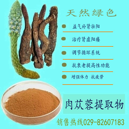 肉苁蓉提取物