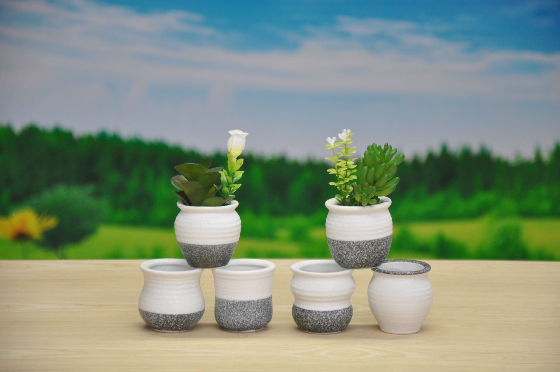 迷你陶瓷小花盆 韩式多肉花盆 工艺品摆件 园艺立体花盆批发qt301