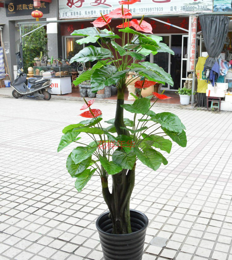 仿真花朵植物盆栽 福州开门红发财树家居专用 植物花卉盆栽批发