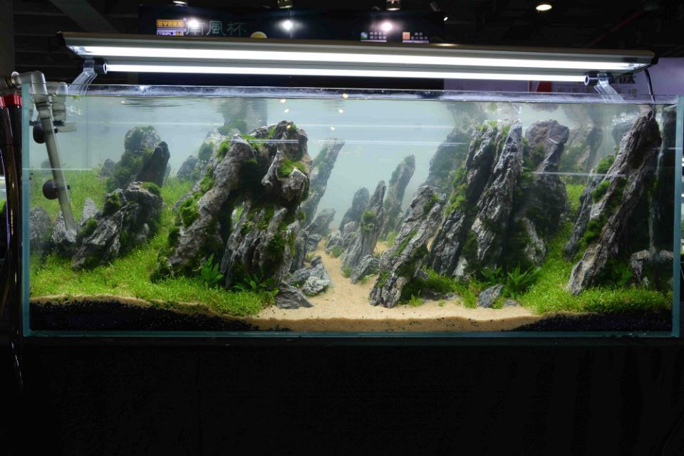 造景石 鱼缸水族箱造景 青龙石 云雾石 批发 鱼缸造景石头装饰